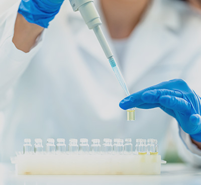 Story Areas of WHOIS